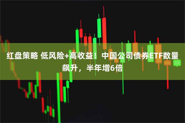 红盘策略 低风险+高收益！中国公司债券ETF数量飙升，半年增6倍