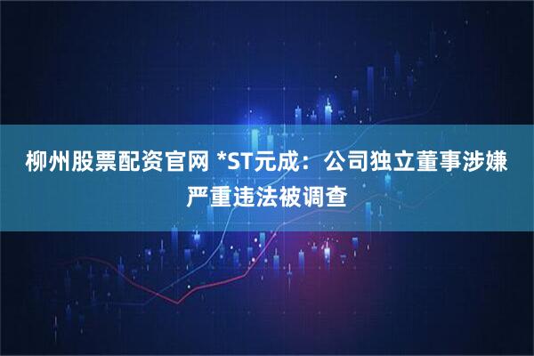 柳州股票配资官网 *ST元成:公司独立董事涉嫌严重违法被调查