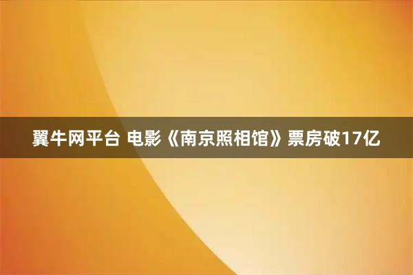 翼牛网平台 电影《南京照相馆》票房破17亿
