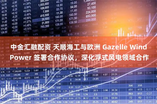 中金汇融配资 天顺海工与欧洲 Gazelle Wind Power 签署合作协议，深化浮式风电领域合作