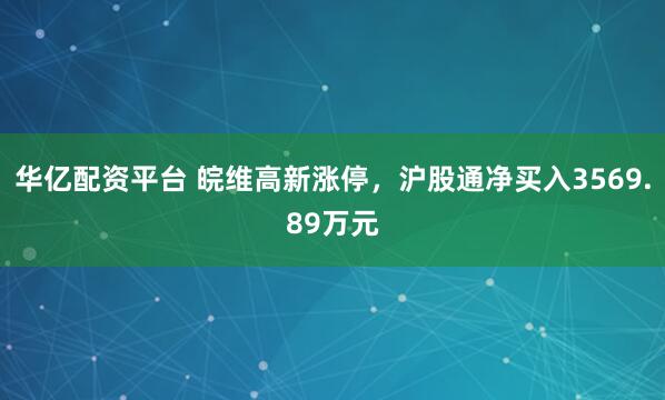 华亿配资平台 皖维高新涨停，沪股通净买入3569.89万元